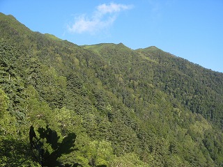 IMG_3868.jpg