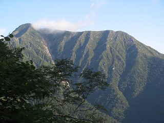 IMG_3875.jpg