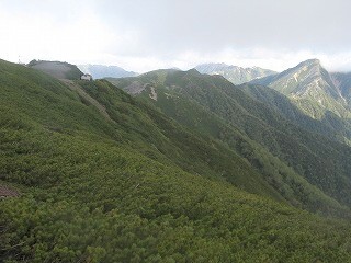IMG_3888.jpg