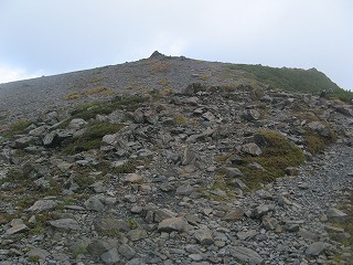 IMG_3903.jpg