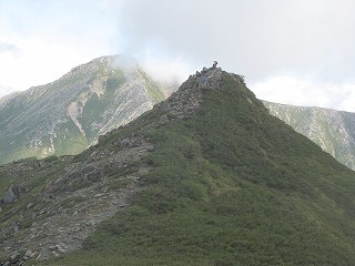IMG_3905.jpg
