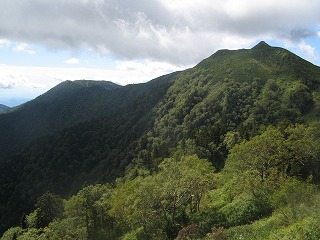 IMG_3931.jpg