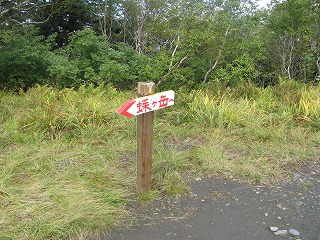 IMG_3938.jpg