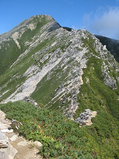 IMG_3942.jpg
