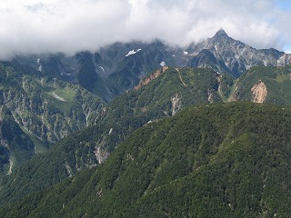 IMG_3945.jpg