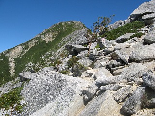 IMG_3951.jpg