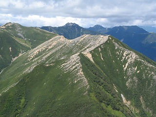 IMG_3958.jpg