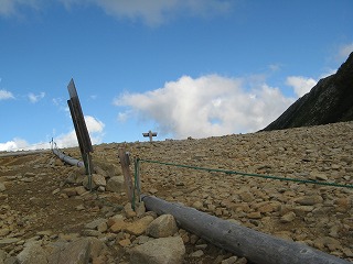 IMG_3979.jpg
