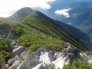 IMG_4071.jpg