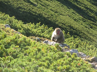 IMG_4073.jpg