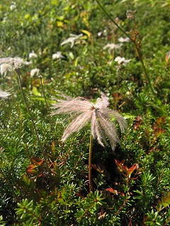 IMG_4076.jpg