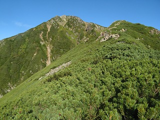 IMG_4080.jpg