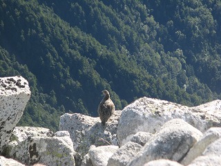 IMG_4092.jpg