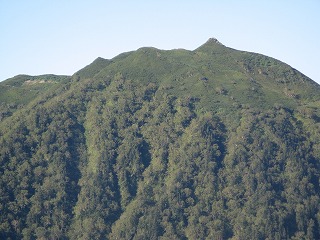 IMG_4105.jpg