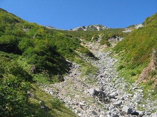 IMG_4172.jpg