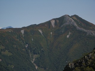 IMG_4190.jpg