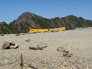IMG_4203.jpg