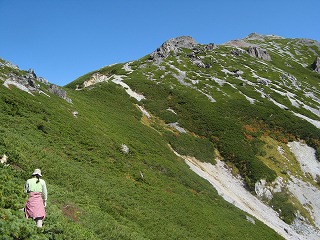IMG_4214.jpg