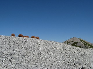 IMG_4224.jpg