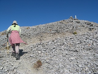 IMG_4228.jpg