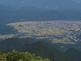 IMG_4241.jpg