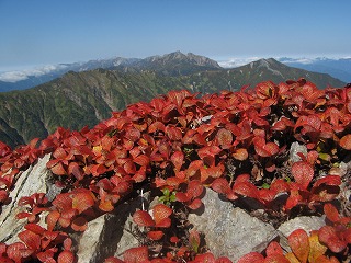IMG_4250.jpg