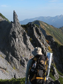IMG_4311.jpg