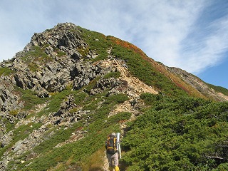 IMG_4333.jpg