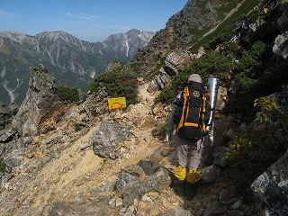 IMG_4337.jpg