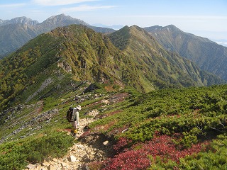 IMG_4358.jpg