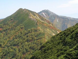 IMG_4376.jpg