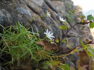 IMG_4388.jpg