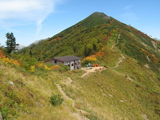 IMG_4398.jpg