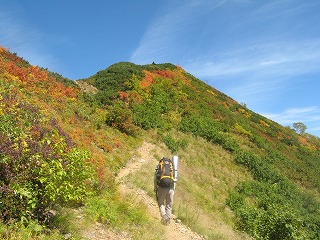 IMG_4408.jpg