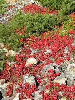 IMG_4413.jpg