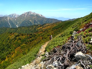 IMG_4416.jpg