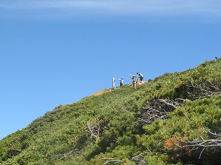 IMG_4426.jpg