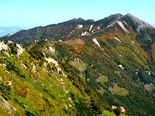 IMG_4443.jpg