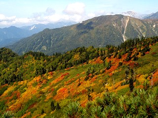 IMG_4451.jpg