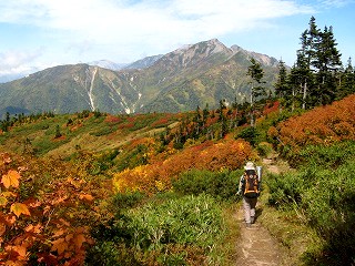 IMG_4459.jpg
