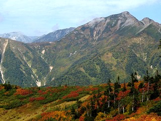 IMG_4461.jpg