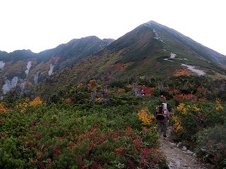 IMG_4483.jpg
