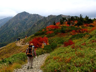 IMG_4544.jpg
