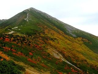 IMG_4545.jpg