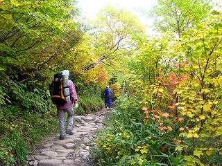 IMG_4557.jpg