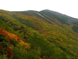 IMG_4561.jpg