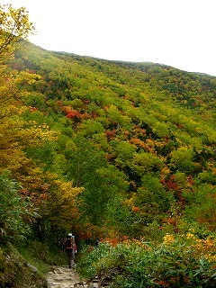 IMG_4568.jpg