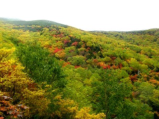 IMG_4570.jpg