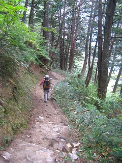 IMG_4592.jpg