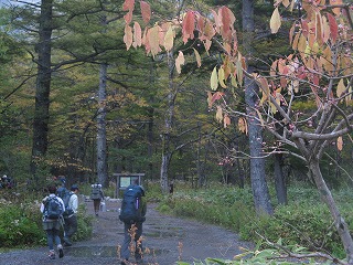 IMG_4647.jpg